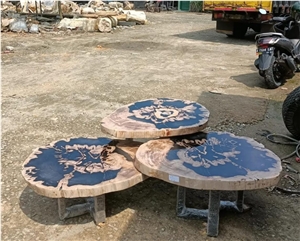Petrified Wood Stone Coffee Table