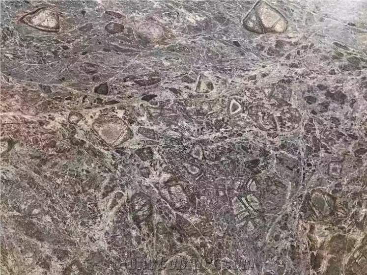Alchemilla Dew Quartzite Slabs