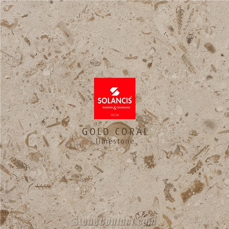 Gold Coral Limestone Tiles, Slabs- Honed Finish