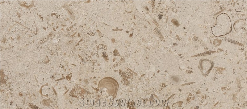 Gold Coral Limestone Tiles, Slabs- Honed Finish