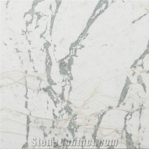 Astra White Venato Marble Tiles & Slabs