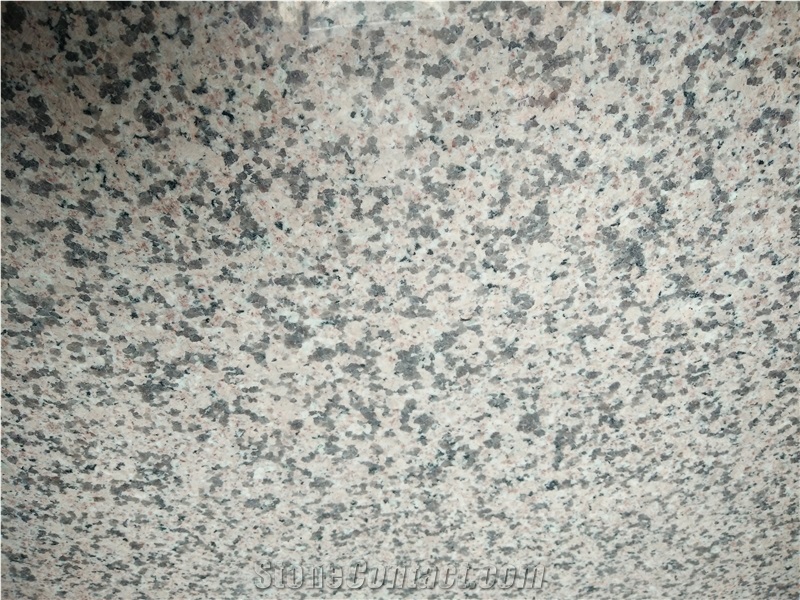 Good Price China Pink Porrino Granite Slab &Tile