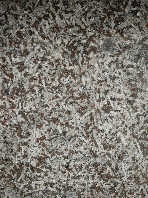Monchique St. Louis Granite Portugal Brown Granite Floor Tile
