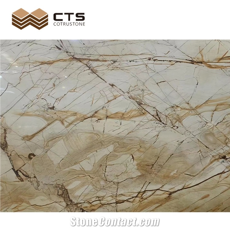 Roman Impression Quartzite Slabs White Background Gold Veins