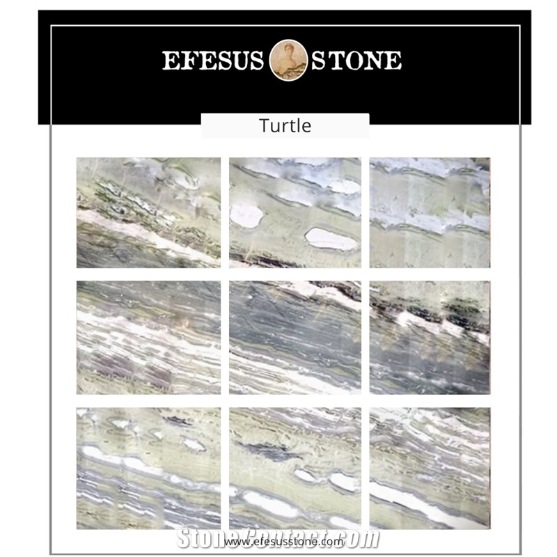 Green Turtle Marble Collections