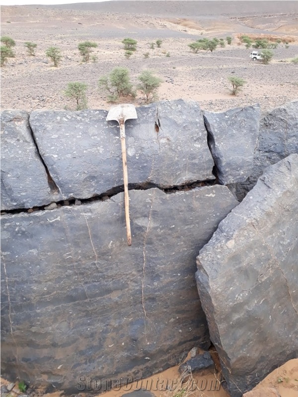 Sidi Ali Tafraout Errachidia Fossil Black Marble Quarry