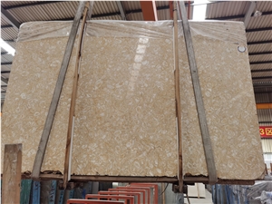 Beige Marble Slab Popular Marble Tile, Golden Shell Marble