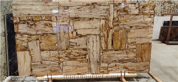 Petrified Wood Beige Semiprecious Stone Wall Panel