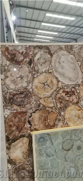Petrified Wood Beige Semiprecious Stone Wall Panel