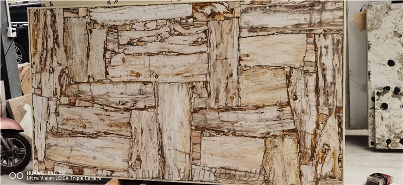 Petrified Wood Semiprecious Stone Wall Panels