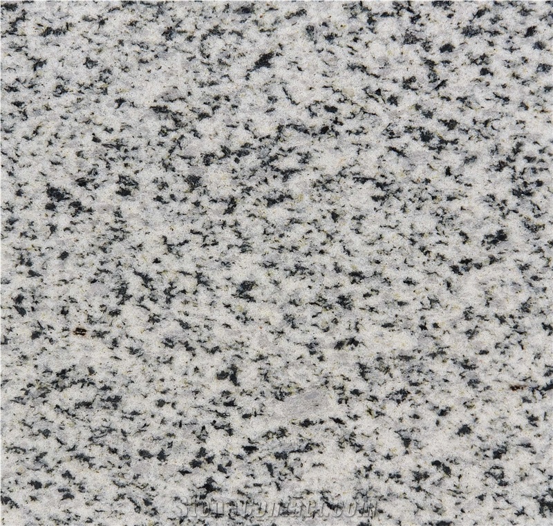 Bianco Halayeb Granite Slabs, Tiles