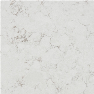 Noble Arco Quartz Slabs, Panels