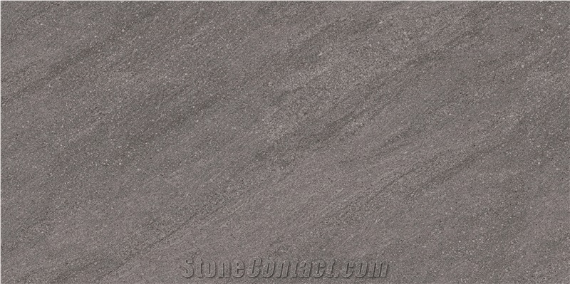 New Zealand Ash Ceramic Tile G122080G