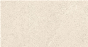 Western Australian Scallop RF2121A
