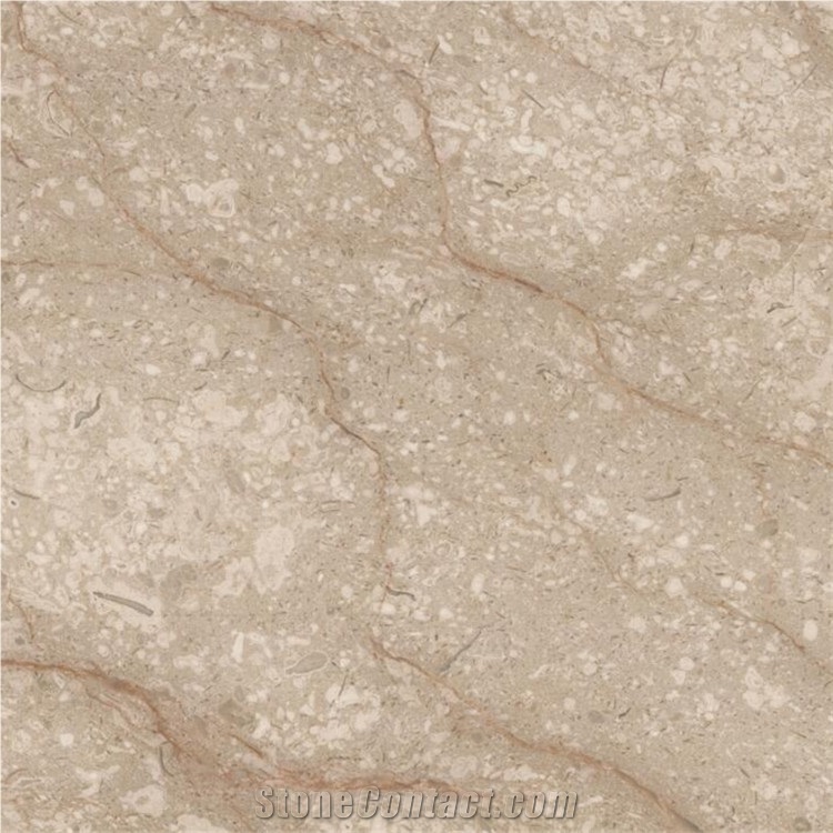 Dark Beige Marble Lyca From Turkey