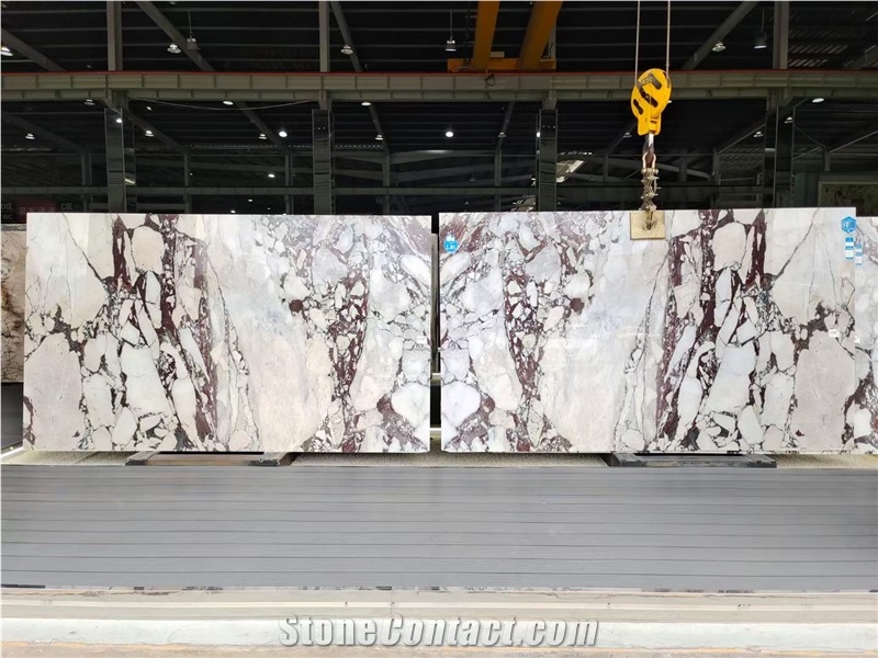 Calacatta Viola Marble Bookmatching Slabs & Wall Tiles