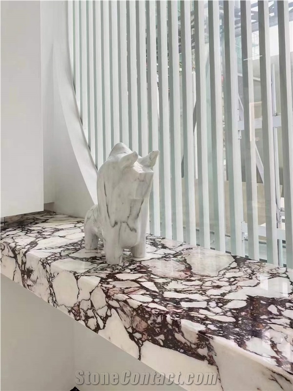 Calacatta Viola Marble Bookmatching Slabs & Wall Tiles
