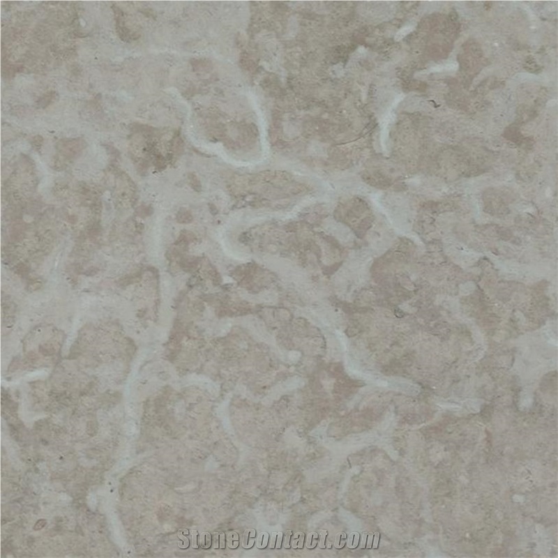 Oeland Grabrun Limestone 