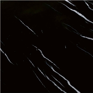 Noir Blanc Quartzite