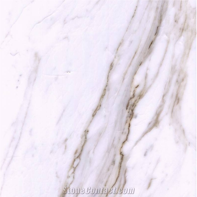 Bianco Galassia Marble 