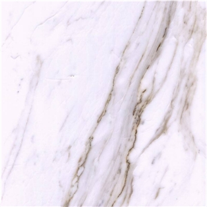 Bianco Galassia Marble