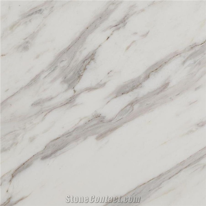 Bianco Galassia Marble Tile