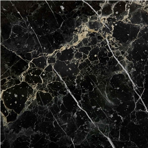 Picasso Gold Marble