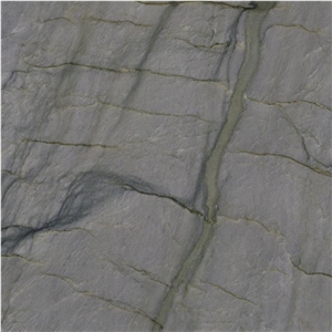 Elegant Grey Quartzite