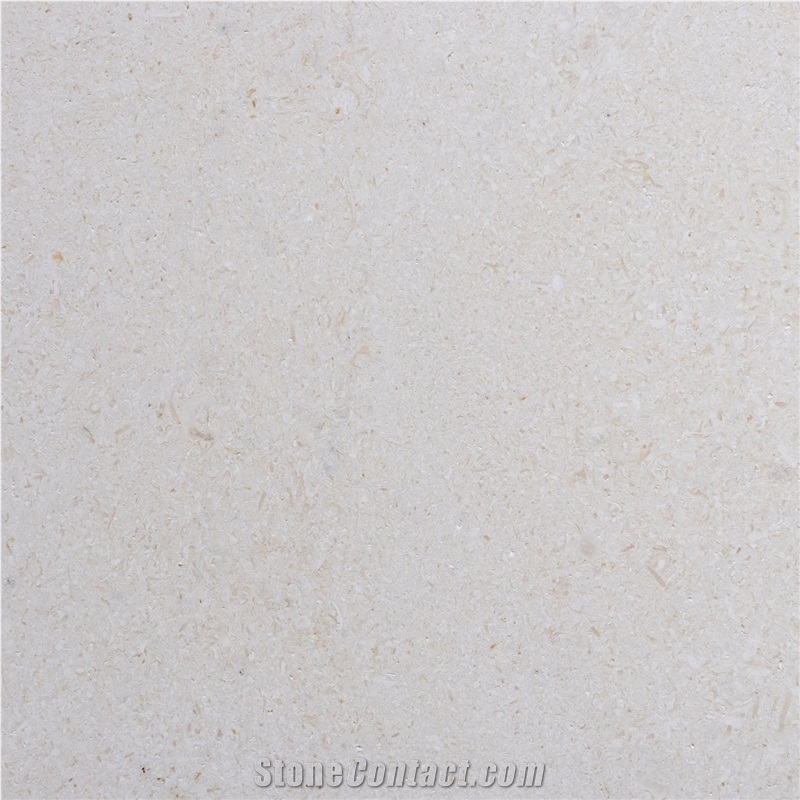 Istrian White Limestone Tile