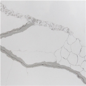 Lasa Bianco Quartz