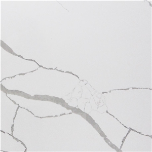 Acqua Bianca Quartz