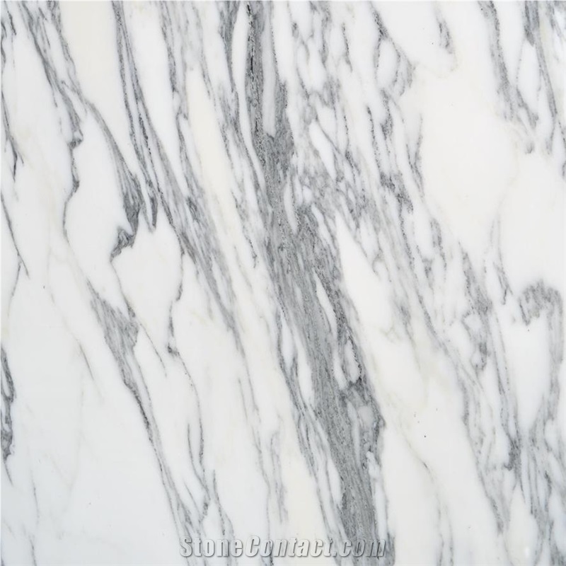 Calacatta Corchia Marble Tile