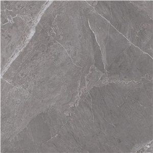 Picasso Grey Sintered Stone