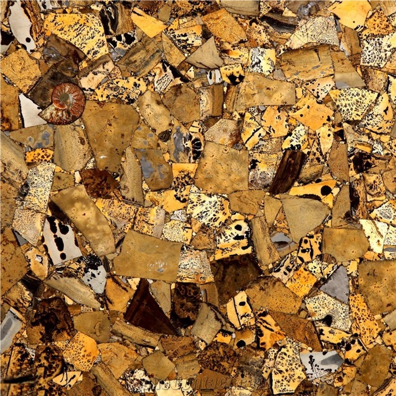 Yellow Fossil Semiprecious Stone 