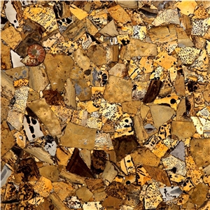 Yellow Fossil Semiprecious Stone