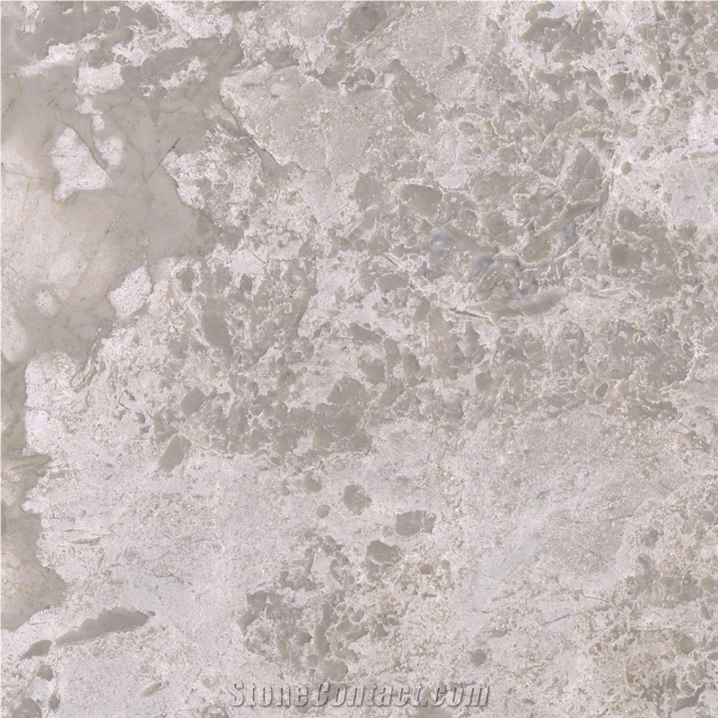 Silver Champagne Marble Tile