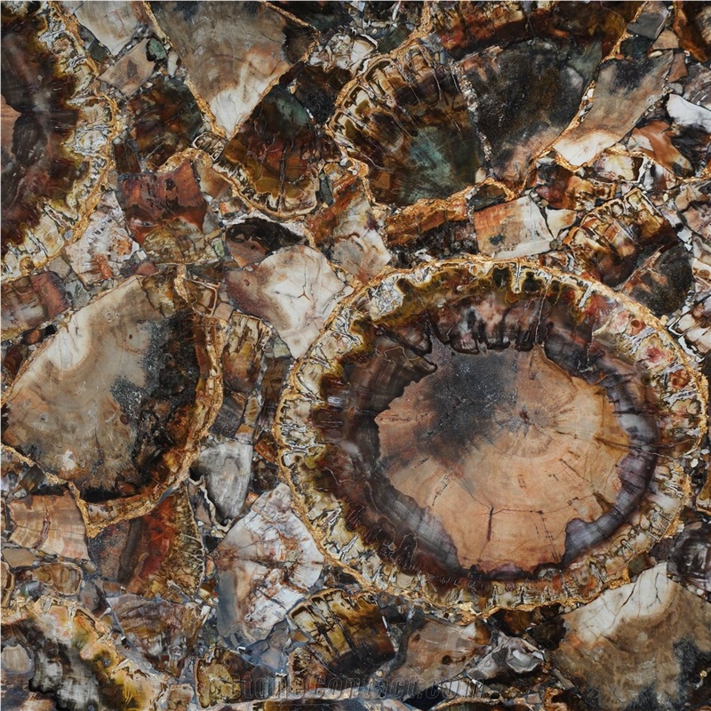 Petrified Wood Brown With Gold 