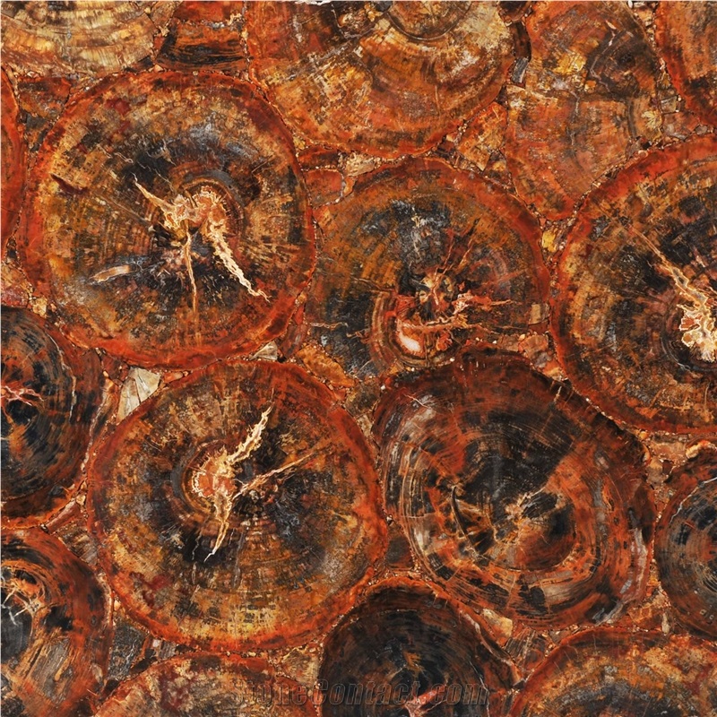 Red Petrified Wood Semiprecious Stone 