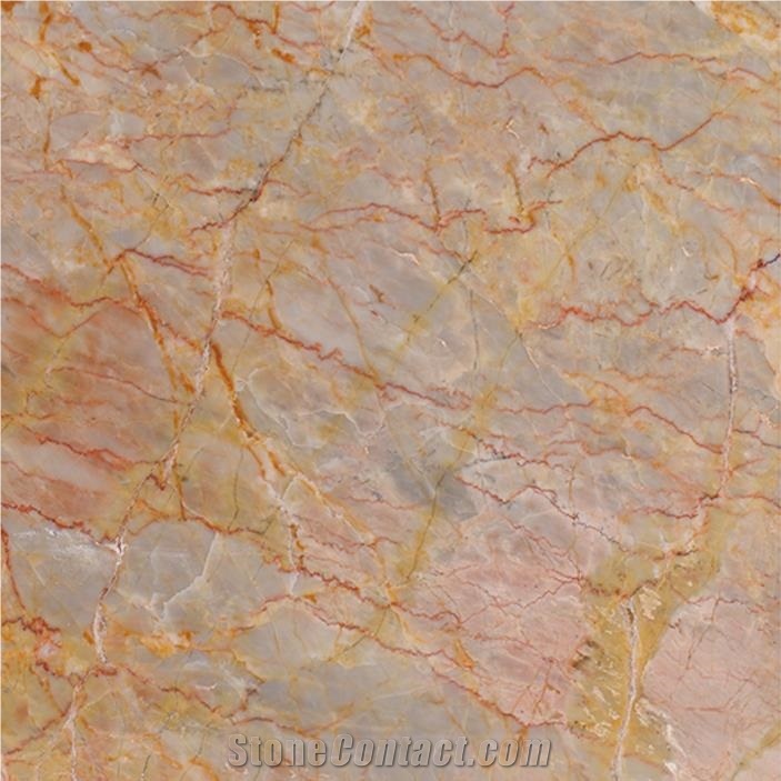 Neverland Ranch Grey Marble 