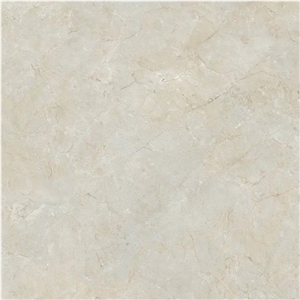 Spanish Marfil Porcelain