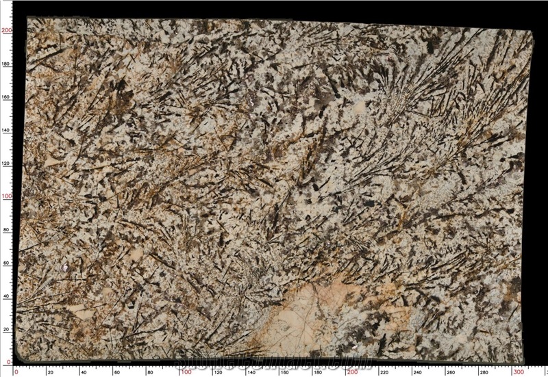 Delicatus Supreme Granite Slab