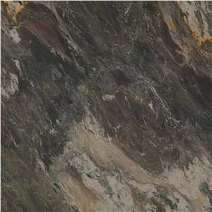 Nero Picasso Gold Quartzite