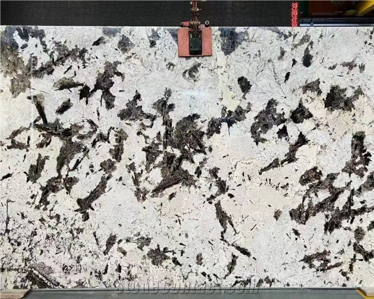 Imported Silver Fox Granite Slab Natural White Granite Stone
