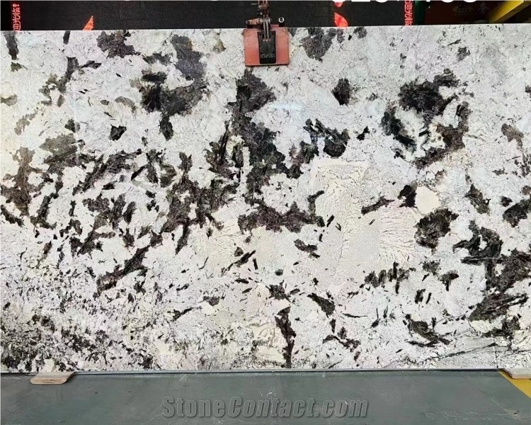 Imported Silver Fox Granite Slab Natural White Granite Stone