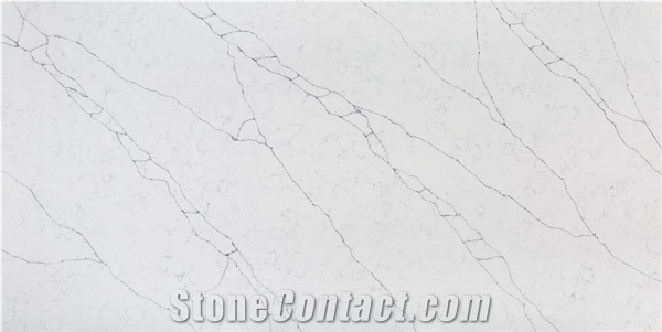Engineered Stone Slabs Alaska-Bianca-1 Quartz Slabs Tiles