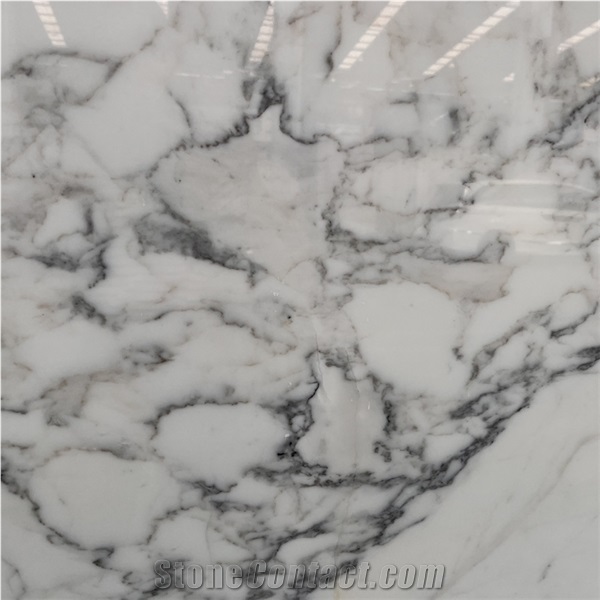 Best Quality Italy Bianco Statuario Venato Marble Wall Tiles