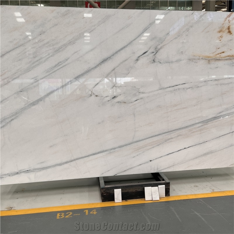 Factory Price China Dior White Marble Slab With Black Veins