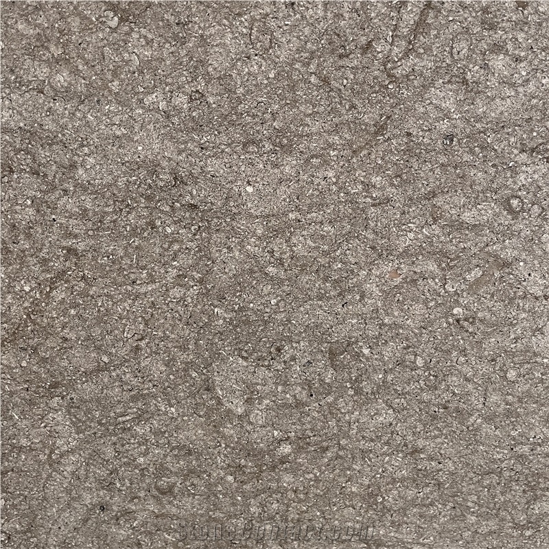 High Quality Natural Mara Grey Limestone Wall Tiles For Home