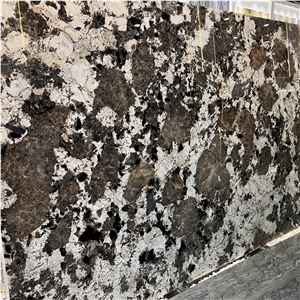 Luxury Brazil Patagonia Quartzite Slab For Home Wall Project