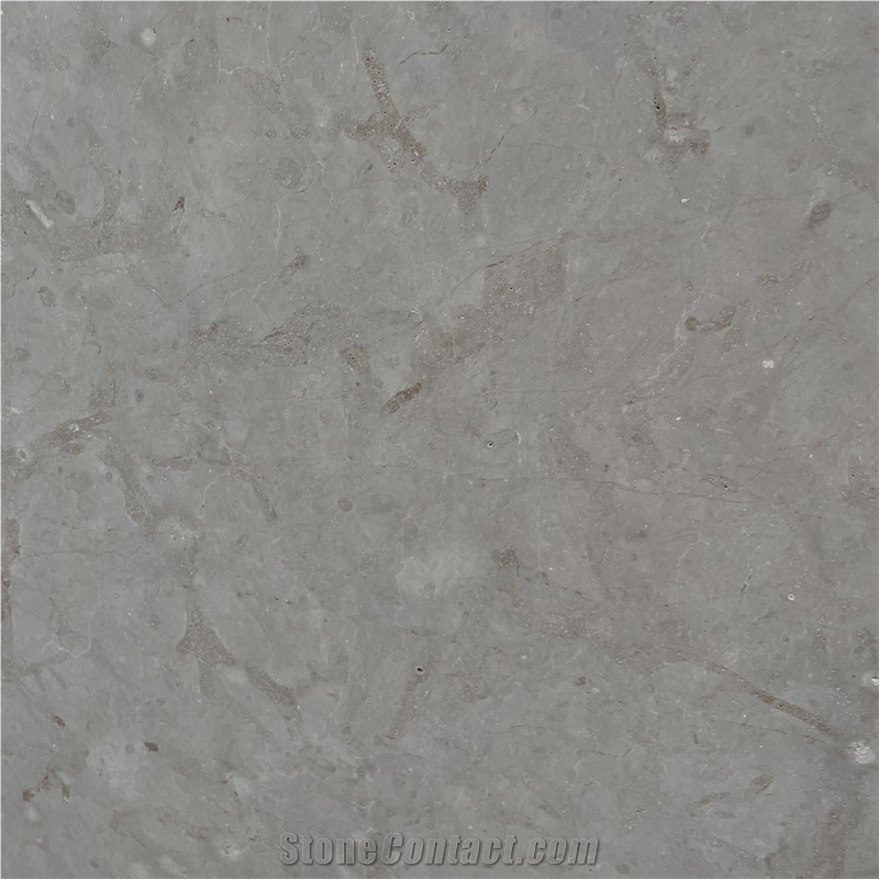 Natural Harley Beige Limestone Slabs Exterior For Wall Decor